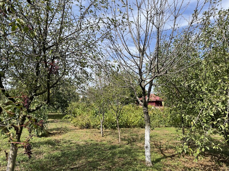 Malu, sat Butoiu Ialomita