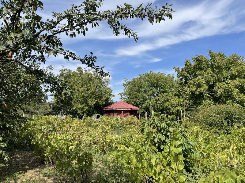 Malu, sat Butoiu Ialomita