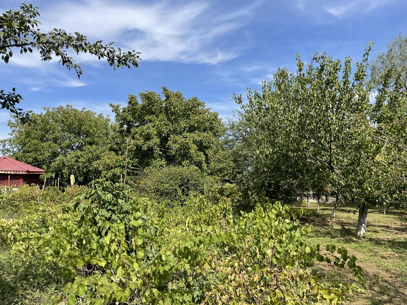 Malu, sat Butoiu Ialomita