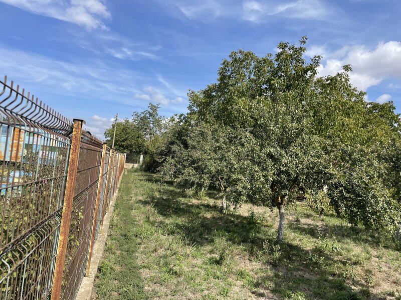 Malu, sat Butoiu Ialomita