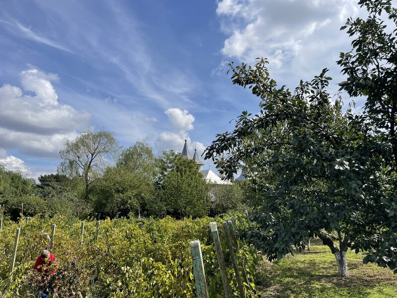 Malu, sat Butoiu Ialomita