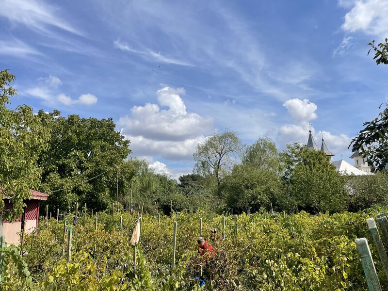 Malu, sat Butoiu Ialomita