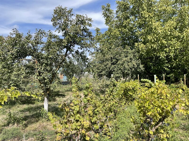 Malu, sat Butoiu Ialomita