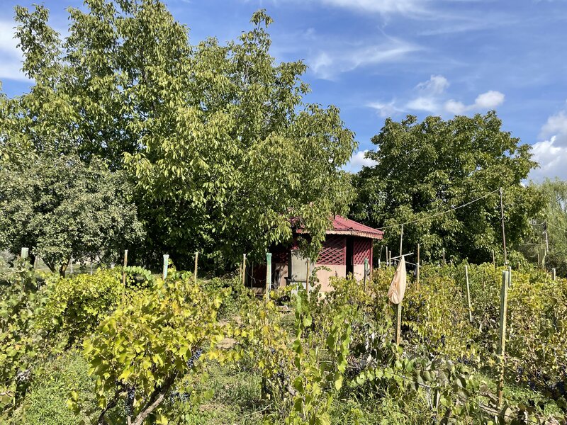 Malu, sat Butoiu Ialomita