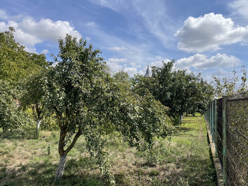 Malu, sat Butoiu Ialomita